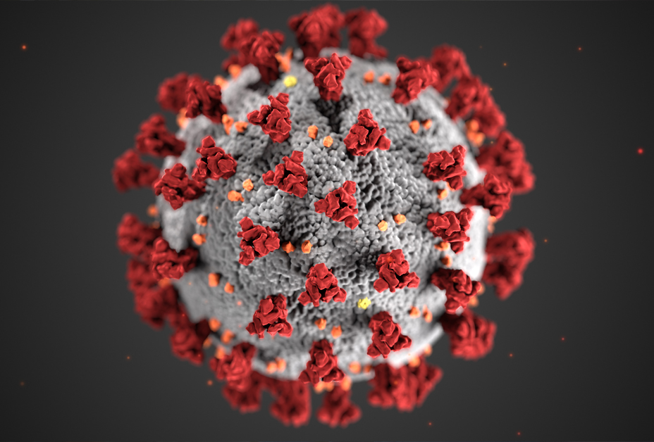 COVID-19: THE FACTS, WHY IT’S SO CONFUSING, AND HOW YOU CAN KEEP YOUR IMMUNE SYSTEM STRONG!