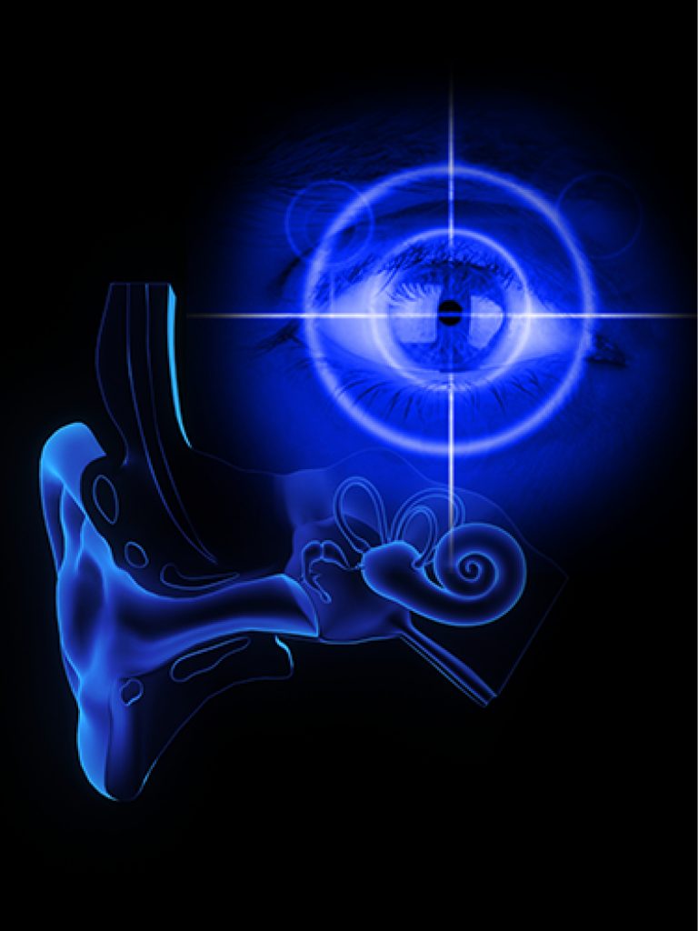 Exteroception System