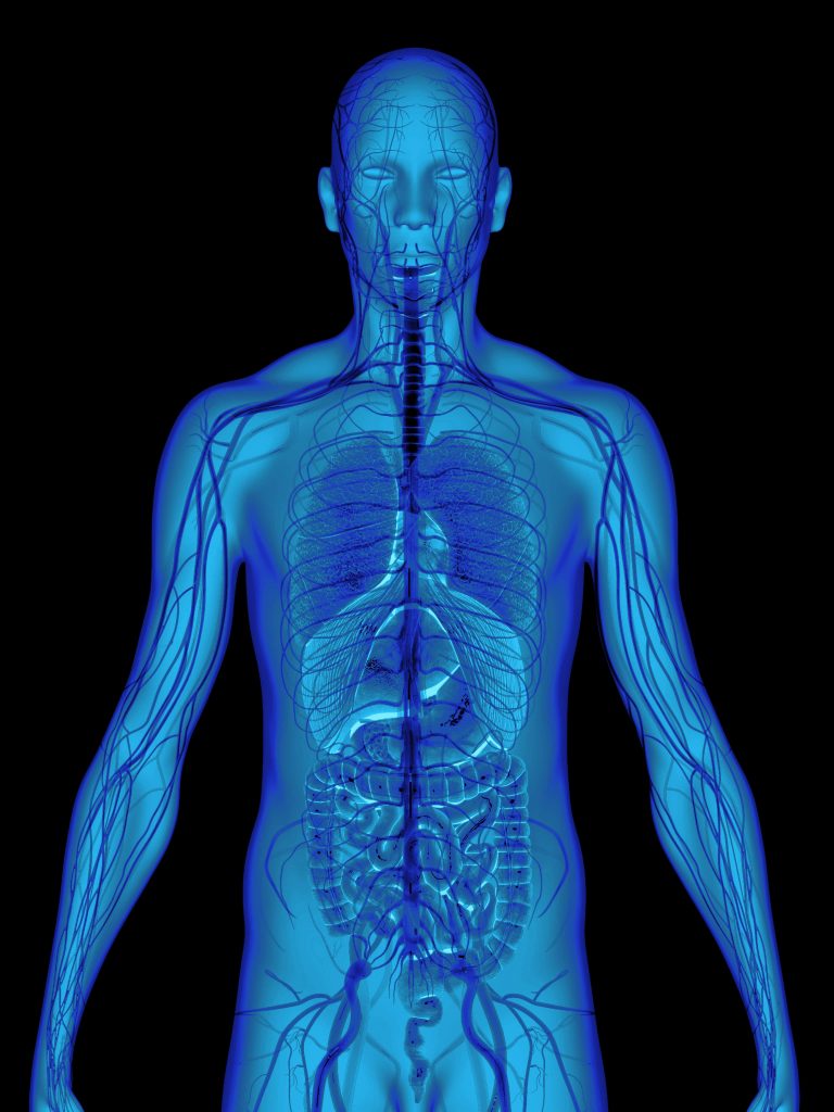 Interoception System